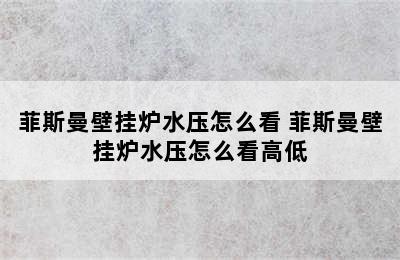 菲斯曼壁挂炉水压怎么看 菲斯曼壁挂炉水压怎么看高低